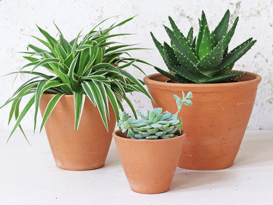 Terracotta Plant Pots Set Of 3 - Tapered