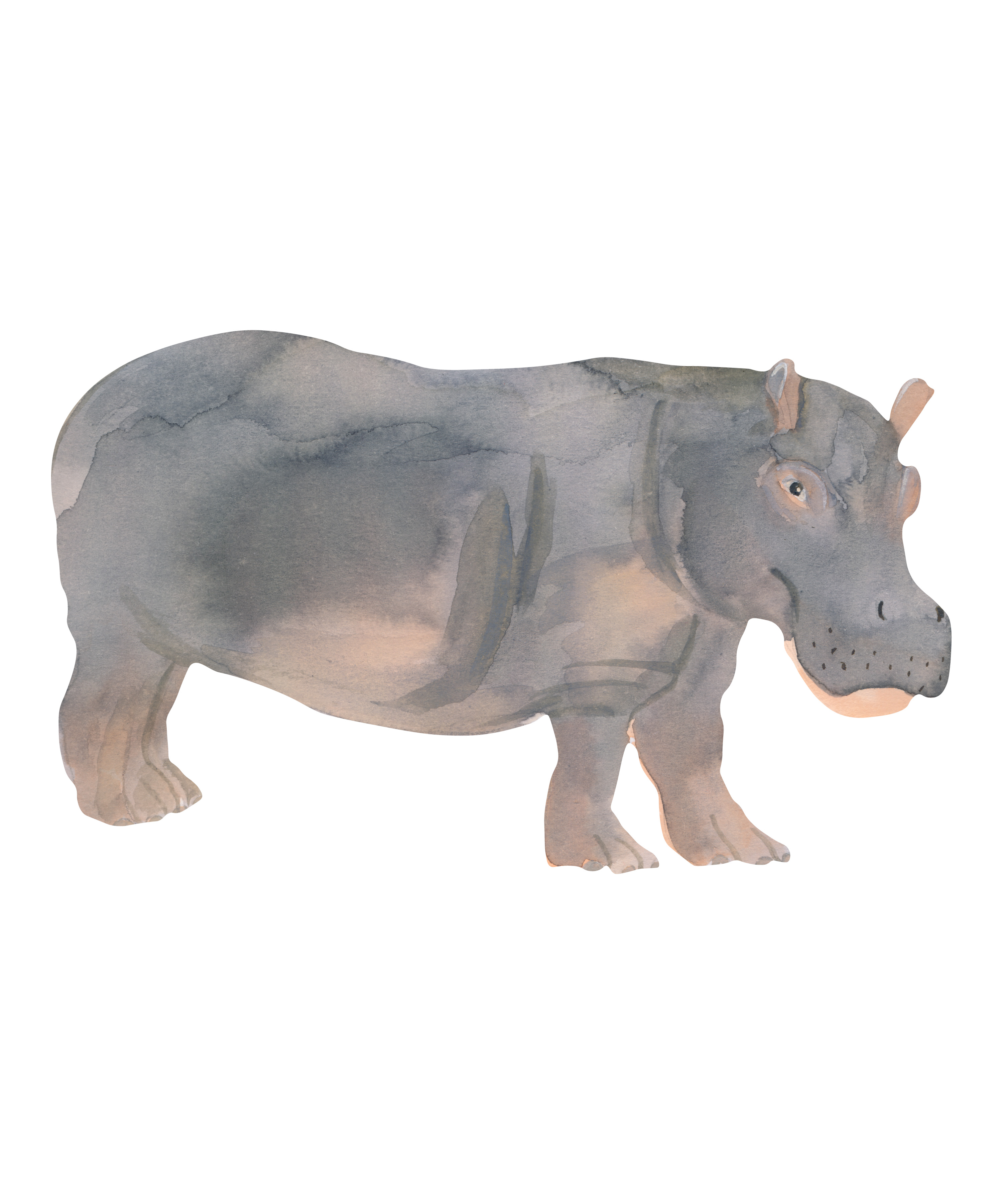 That's Mine - Wall Sticker Hippo - Grey (O8072)
