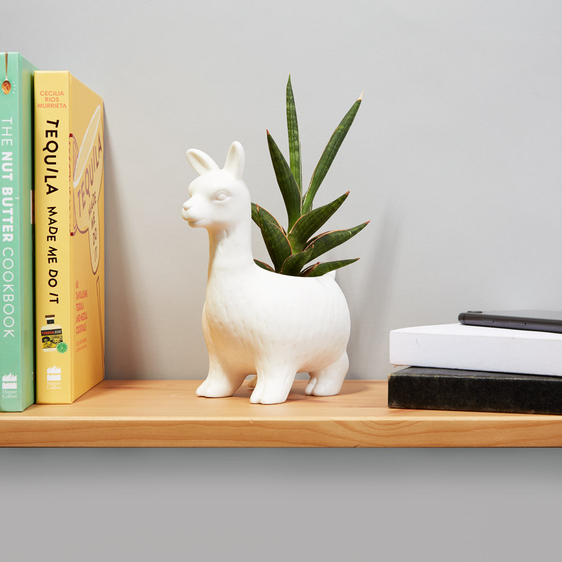 Lloyd The Llama Planter (21793)