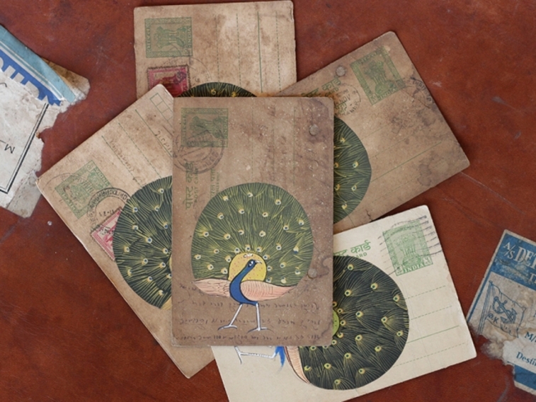 Vintage Postcard - Parading Peacock 14CM X 8.5CM