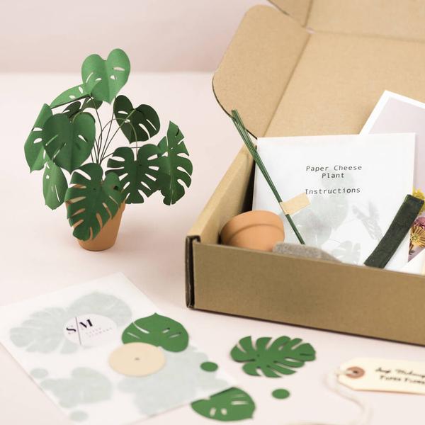 Mini Monstera Plant Paper Craft Kit
