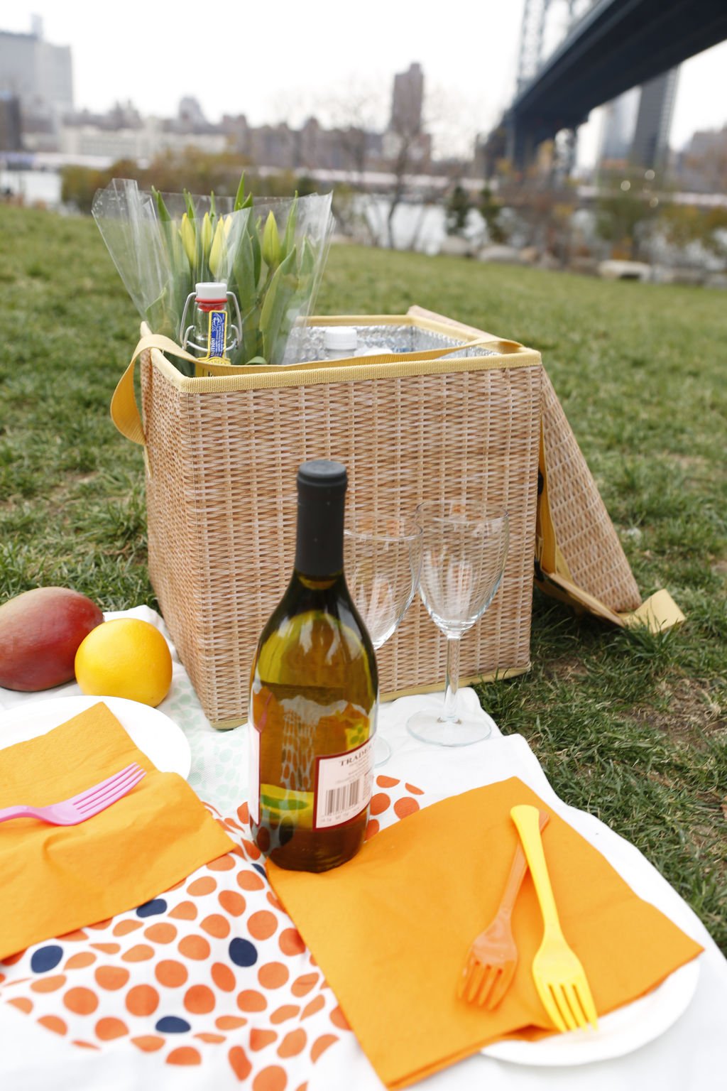 Wicker Picnic Cooler Seat (CD139)