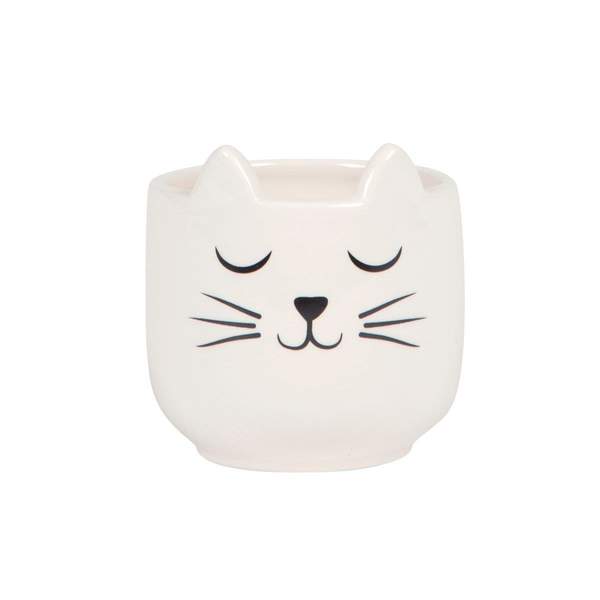 Cat's Whiskers Mini Planter