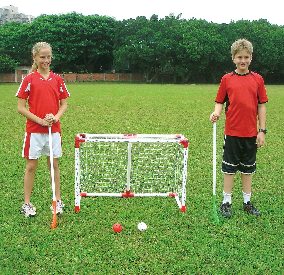 My Hood - Hockey Goal (3022559)